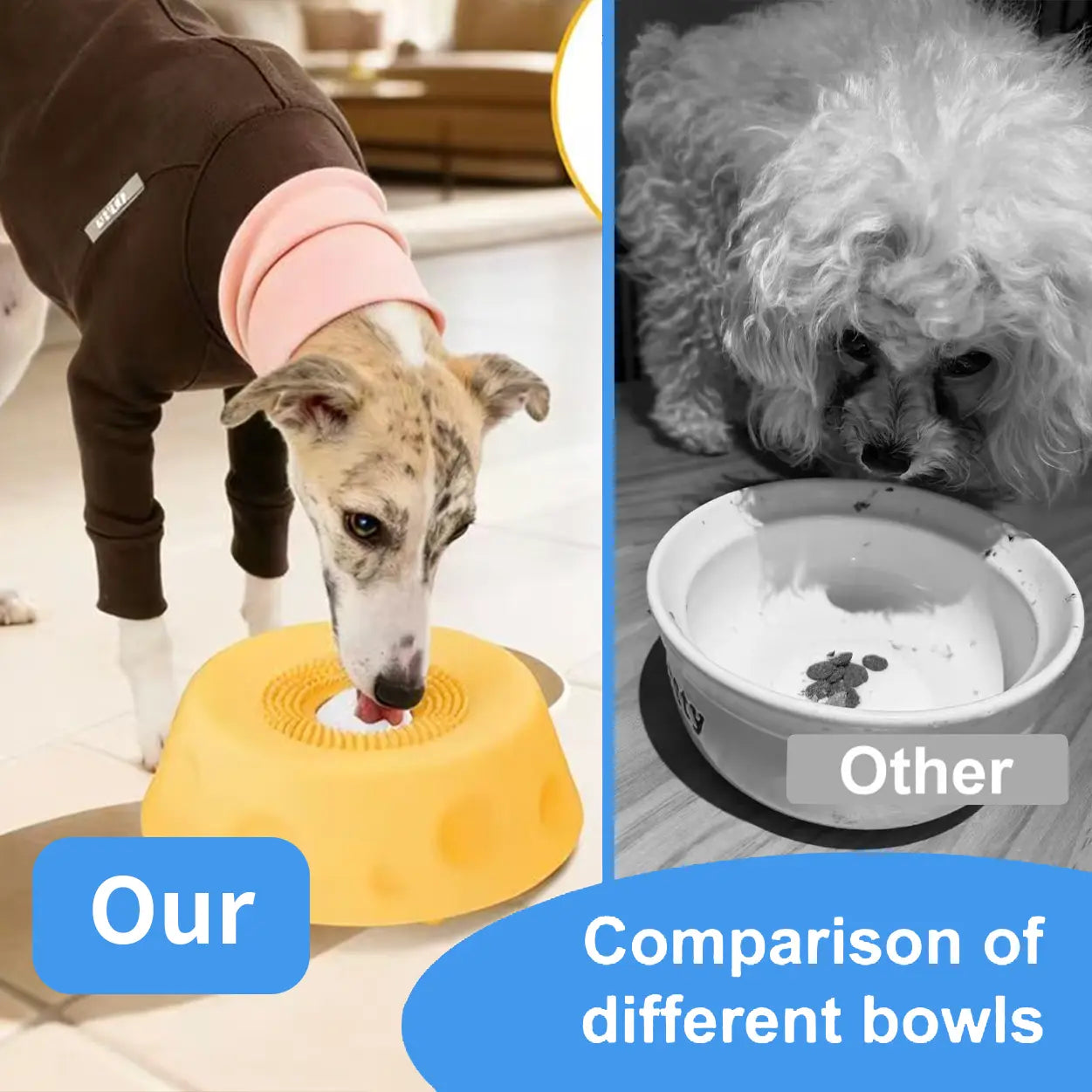 Professional Dog Slow Feeder Bowl with Rolling Ball and Liquid Treat Lick Bowl - 2-in-1 Enrichment Feeder with Suction Cups